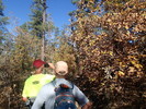 photo thumbnail #13