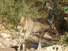 photo thumbnail #13