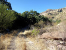 photo thumbnail #1