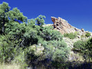 photo thumbnail #7