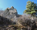 photo thumbnail #6