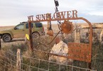 photo thumbnail #2
