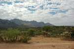 photo thumbnail #6