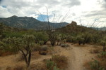 photo thumbnail #7