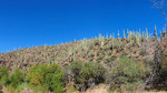 photo thumbnail #9