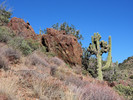 photo thumbnail #10