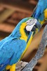 photo thumbnail #11