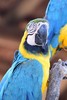 photo thumbnail #12