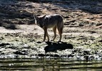 photo thumbnail #8