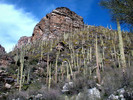 photo thumbnail #10