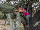 photo thumbnail #6