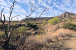 photo thumbnail #2