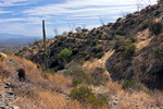 photo thumbnail #7