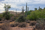 photo thumbnail #2
