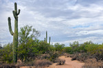 photo thumbnail #3