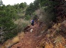 photo thumbnail #1