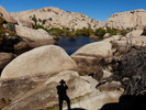 photo thumbnail #8