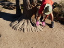 photo thumbnail #9