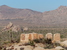 photo thumbnail #12