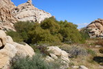 photo thumbnail #11