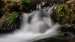 photo thumbnail #7