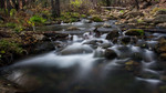 photo thumbnail #12