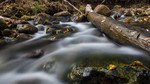 photo thumbnail #13