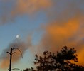 photo thumbnail #11