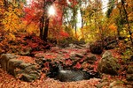 photo thumbnail #1