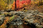 photo thumbnail #4