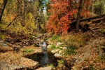 photo thumbnail #5