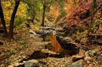 photo thumbnail #8