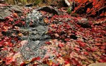photo thumbnail #12