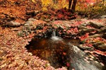 photo thumbnail #14