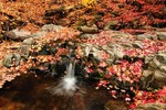 photo thumbnail #15