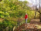 photo thumbnail #5