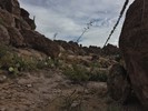 photo thumbnail #7