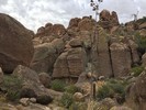 photo thumbnail #9