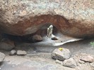 photo thumbnail #13