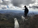 photo thumbnail #3