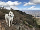photo thumbnail #6