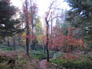 photo thumbnail #4