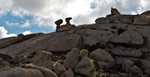 photo thumbnail #12