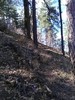 photo thumbnail #10