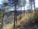 photo thumbnail #11