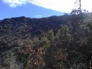 photo thumbnail #13