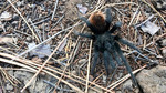 photo thumbnail #13