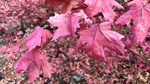photo thumbnail #15