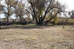photo thumbnail #14