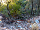 photo thumbnail #4